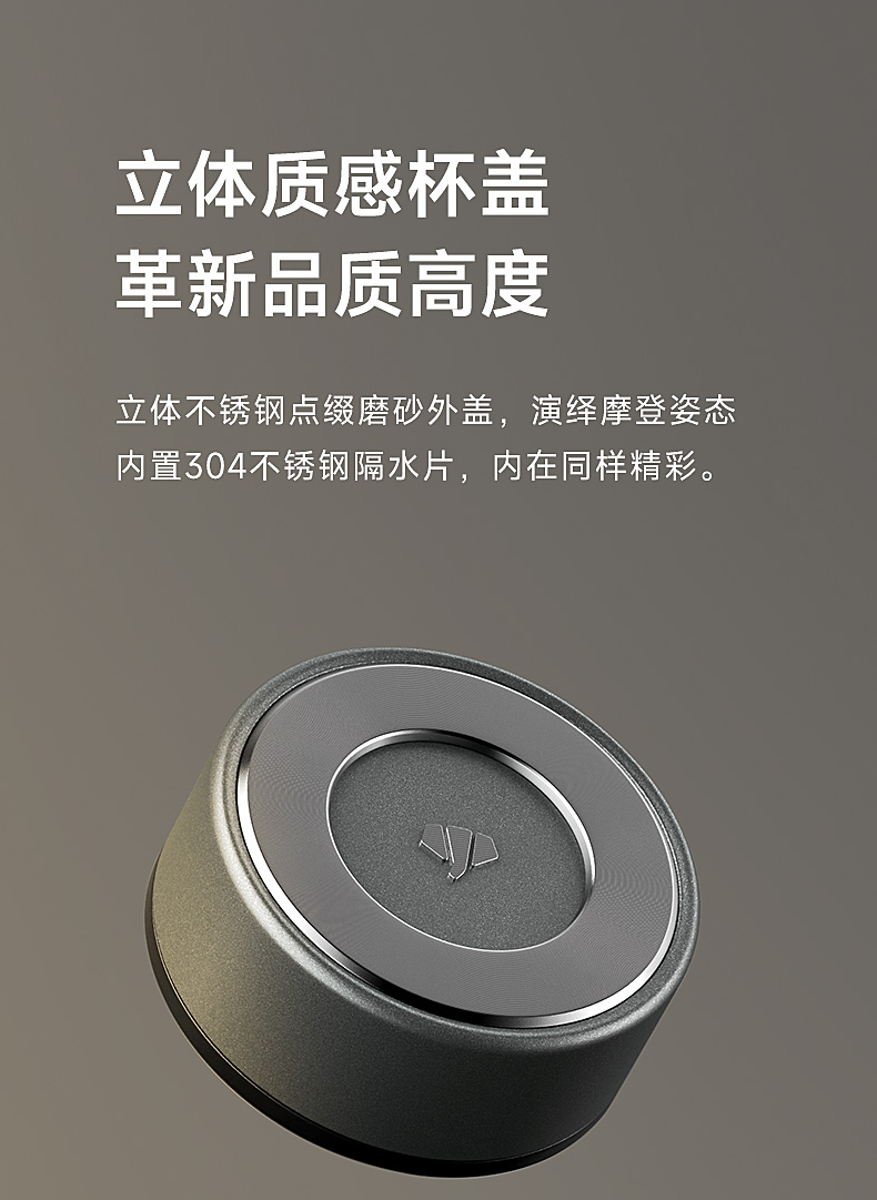 V382RL_06.jpg